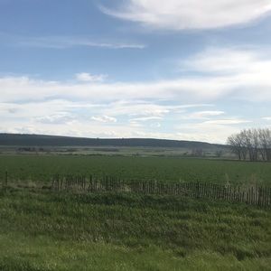 Meet your Posher, Elena